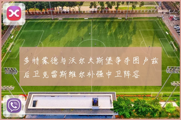 多特蒙德与沃尔夫斯堡争夺图卢兹后卫克雷斯维尔补强中卫阵容